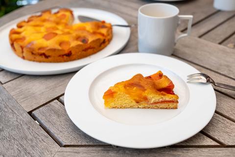 Ein Stück Aprikosenkuchen auf weißem Teller auf einem Gartentisch, dahinter der ganze Kuchen