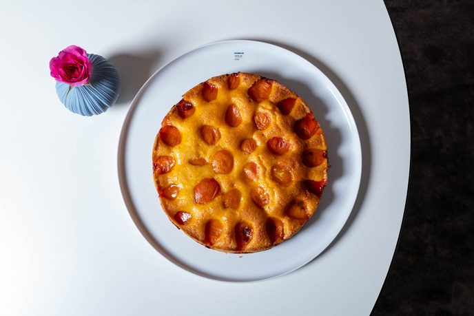 Runder Aprikosenkuchen mit halbierten Aprikosen auf weißem Teller, daneben eine pinke Rose