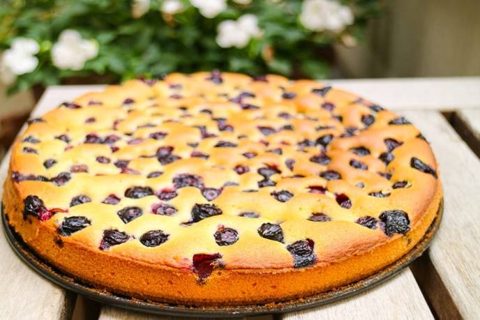 Blaubeerkuchen frisch dem Ofen.
