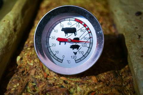 Brot Temperatur messen