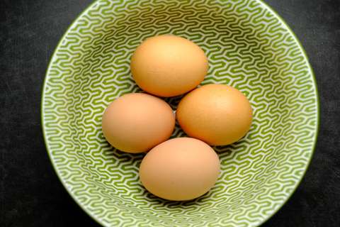 eier