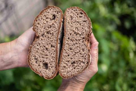 Kartoffelbrot Variante 2 Schnittbild