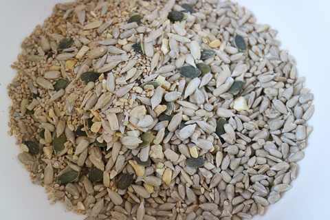 Sonnenblumenkerne, Kürbiskerne und Sesam für die Lpow Carb Brotmischung