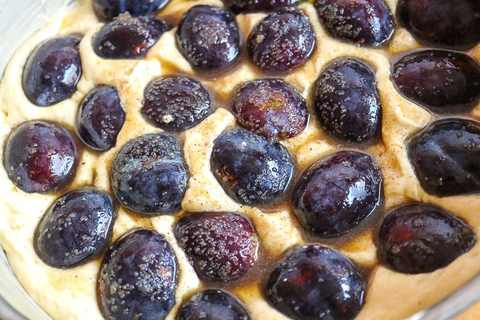 Pflaumen auf Kuchenteig legen