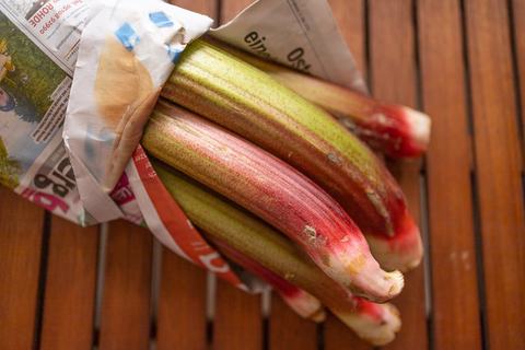 frische Rhabarberstangen